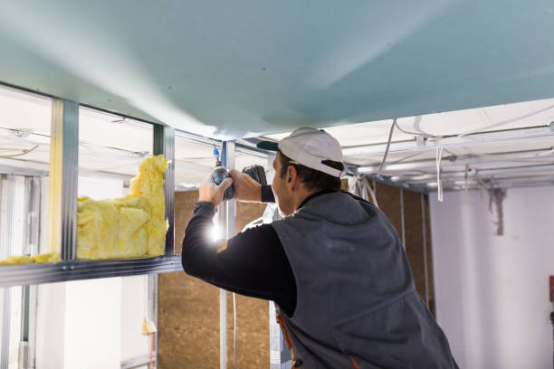 Best Energy Efficiency Insulation in Spanish Springs, NV