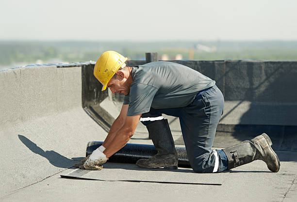 Best Insulation Maintenance and Repair in Spanish Springs, NV