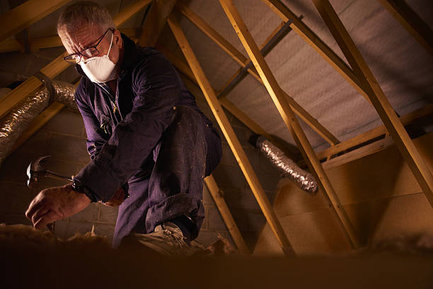 Types of Insulation We Offer in Spanish Springs, NV